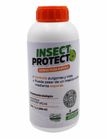 Insecticida orgánico contra pulgones y trips - INSECTPROTECT Lecanicillium lecanii