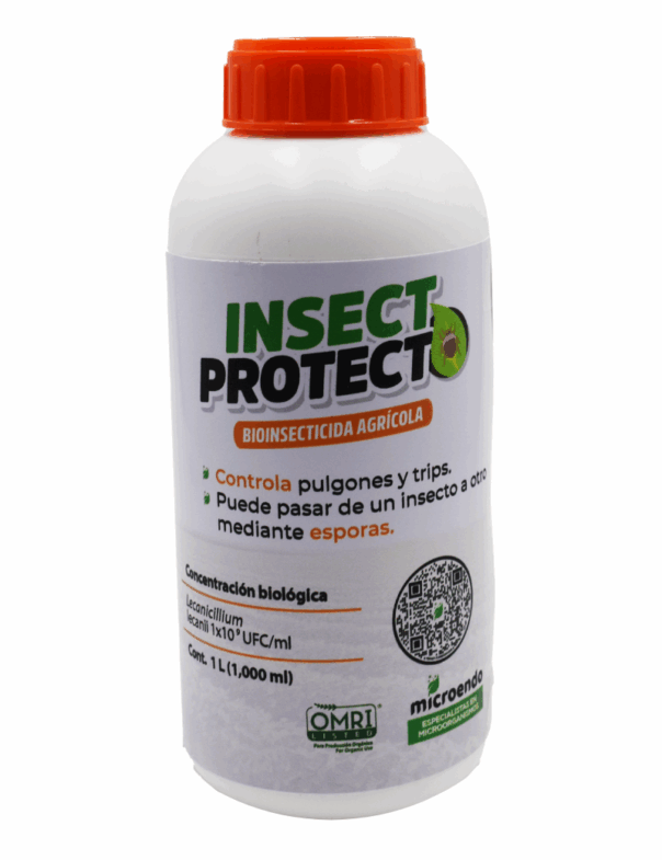 Insecticida orgánico contra pulgones y trips - INSECTPROTECT Lecanicillium lecanii