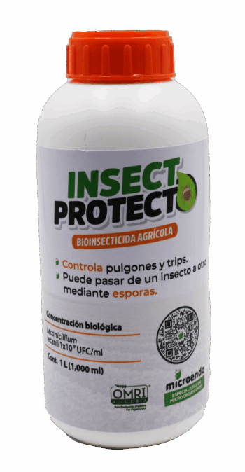 Insecticida orgánico contra pulgones y trips - INSECTPROTECT Lecanicillium lecanii