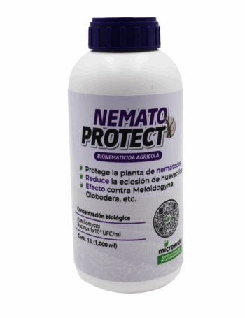 Nematicida orgánico protector contra nematodos - NEMATOPROTECT Paecilomyces lilacinus